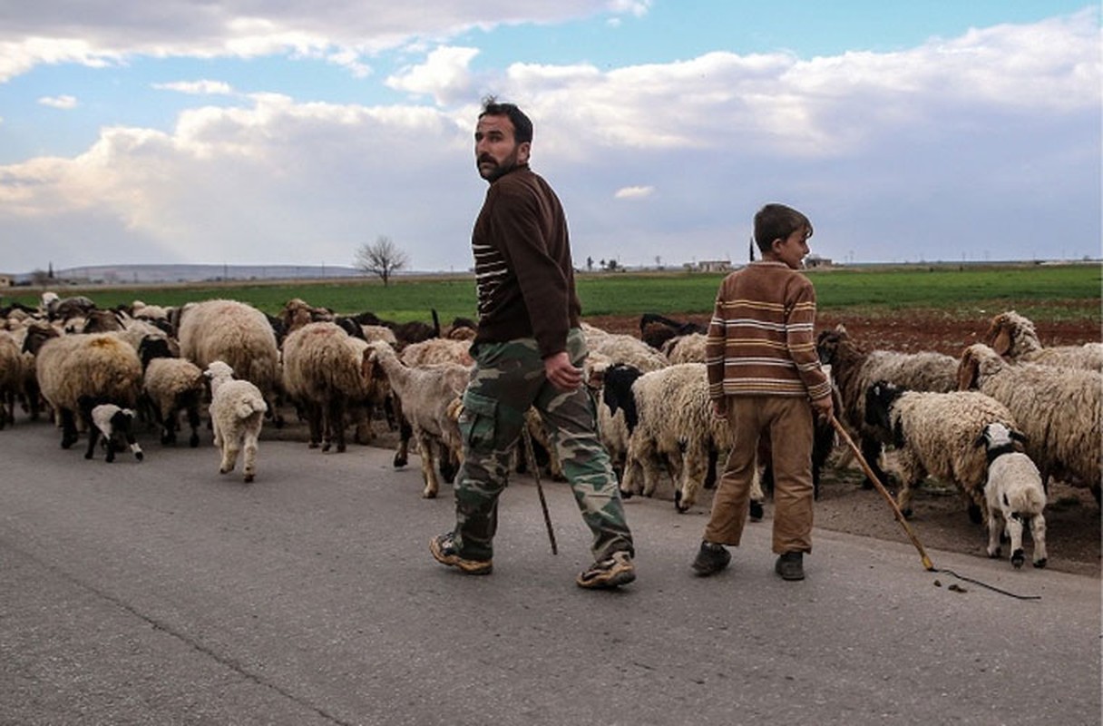 Dat nuoc Syria im tieng sung sau 5 nam noi chien-Hinh-3